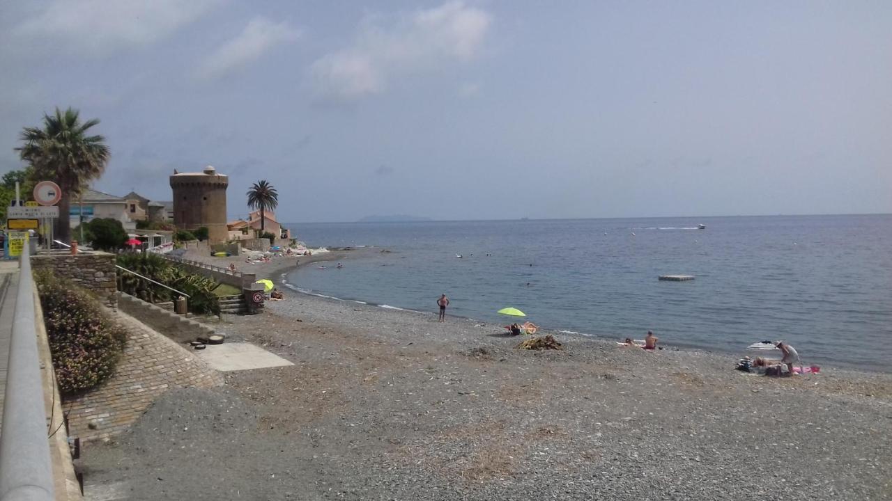 Agreable Studio Debut Cap Corse Proche Bastia San-Martino-di-Lota Zewnętrze zdjęcie