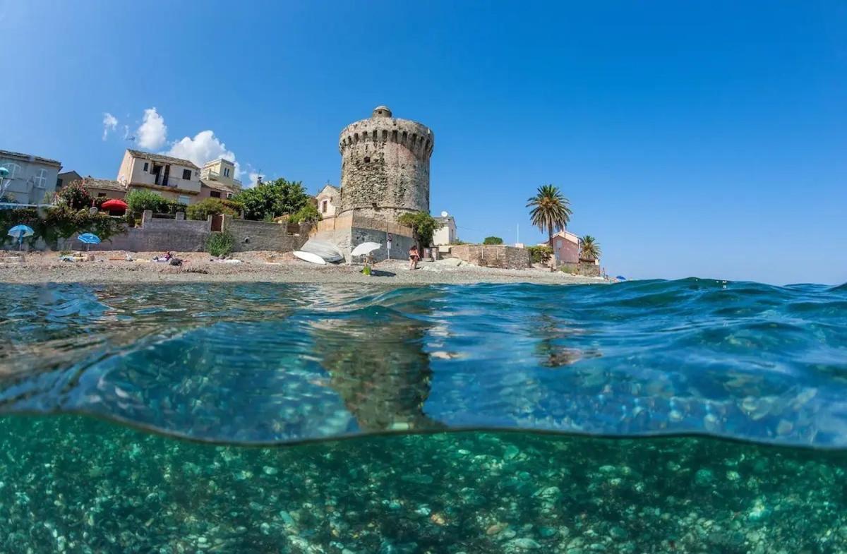 Agreable Studio Debut Cap Corse Proche Bastia San-Martino-di-Lota Zewnętrze zdjęcie